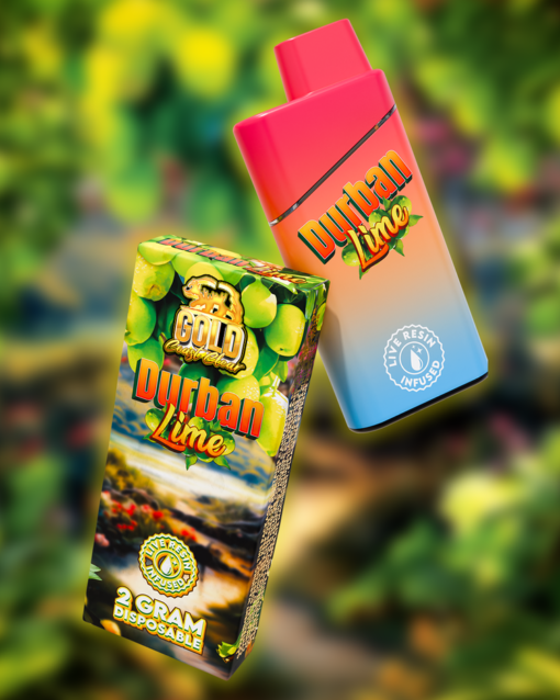 Gold Coast Clear Durban Lime